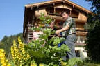 Biohof Obertreichl Bild 2