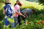 Biohof Obertreichl Bild 8