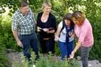 Biohof Obertreichl Bild 9