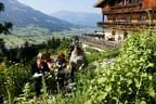 Biohof Obertreichl Bild 11