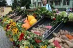 Rund um die Kartoffel in St. Johann Bild 2