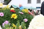 Rund um die Kartoffel in St. Johann Bild 6