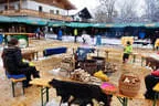 Speckbacher Advent St. Johann Bild 11