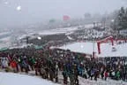 Hahnenkammrennen 2014 Bild 36